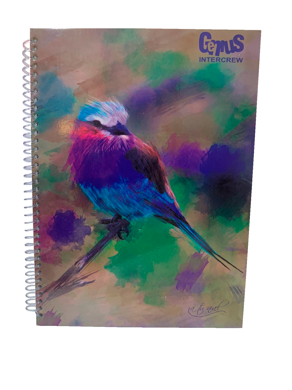 Cuaderno Pájaro Colorido Sin Fondo