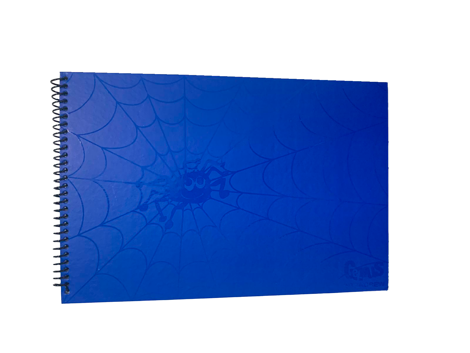 Carpeta Azul Araña SIN FONDO